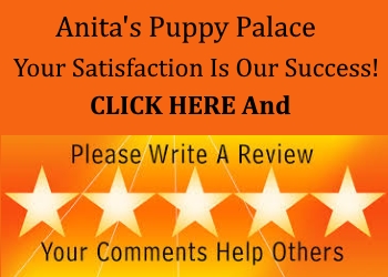 Anita's Puppy Palace Reviews