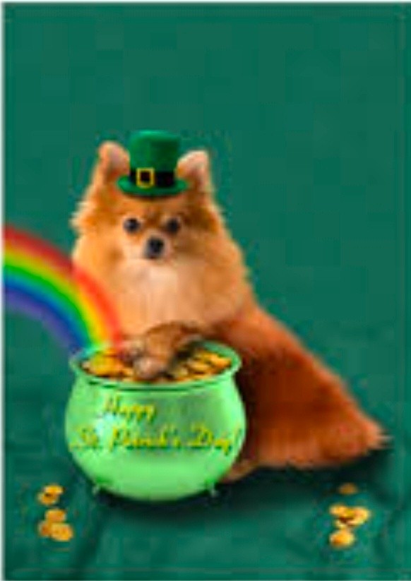 Anita’s Puppy Palace Mobile Pet Grooming And Boarding Kennels