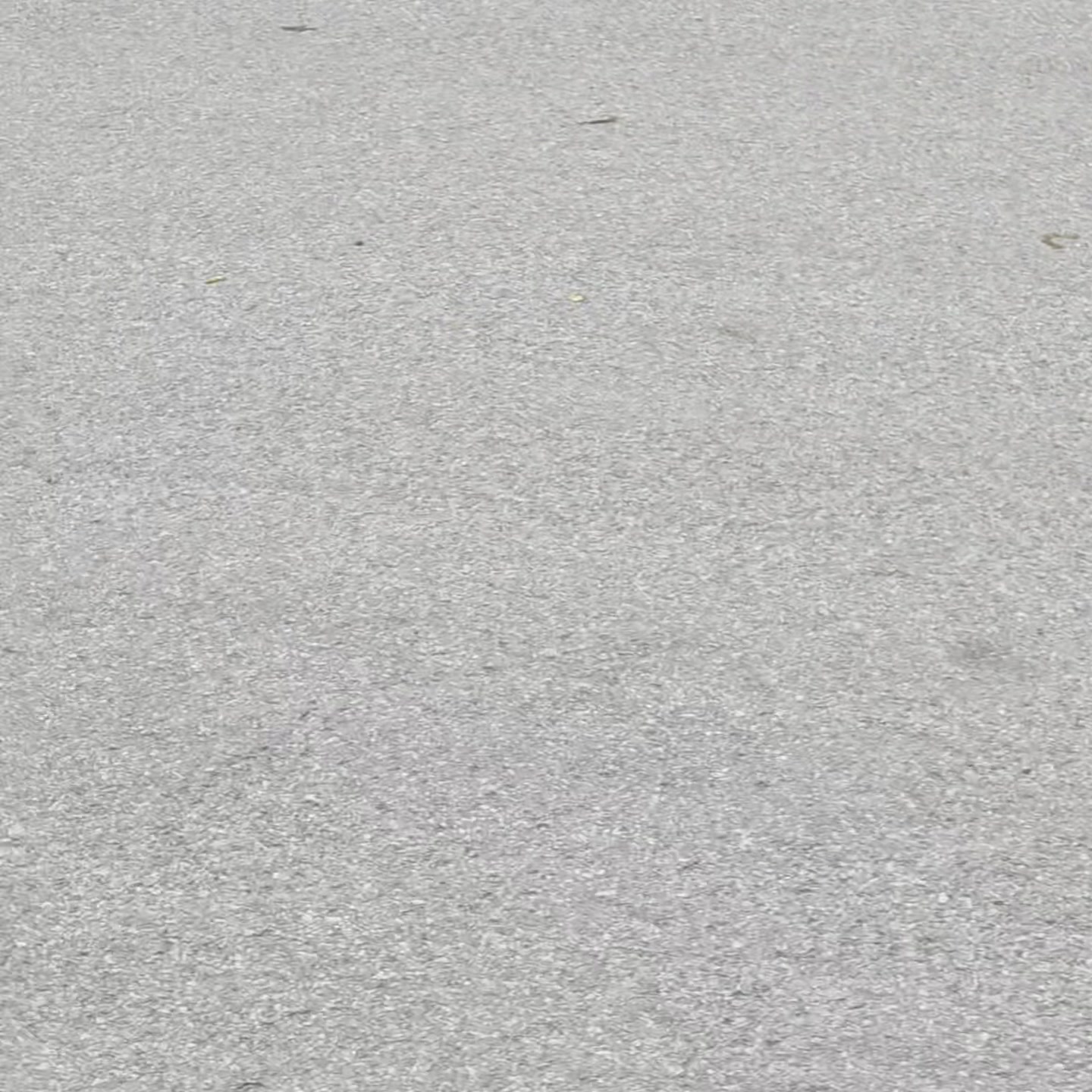 Anita’s Puppy Palace Mobile Pet Grooming And Boarding Kennels