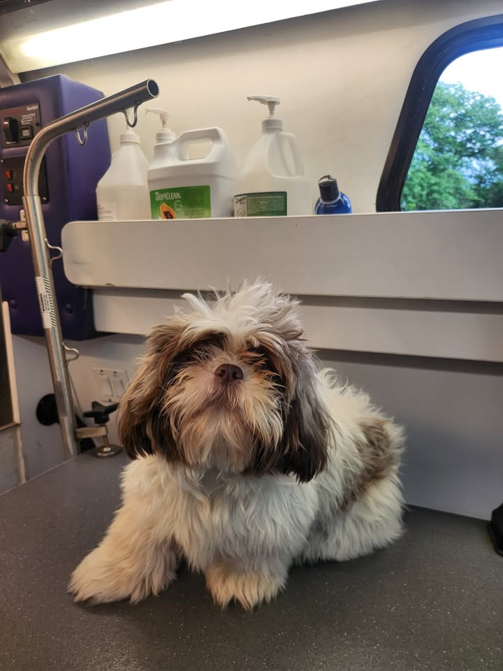 Anita’s Puppy Palace Mobile Pet Grooming And Boarding Kennels