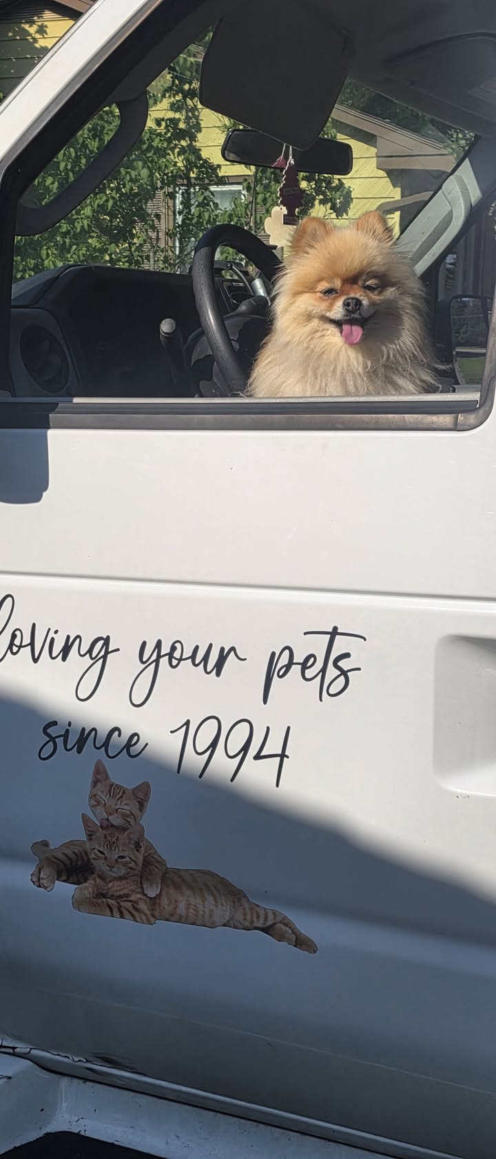 Anita’s Puppy Palace Mobile Pet Grooming And Boarding Kennels