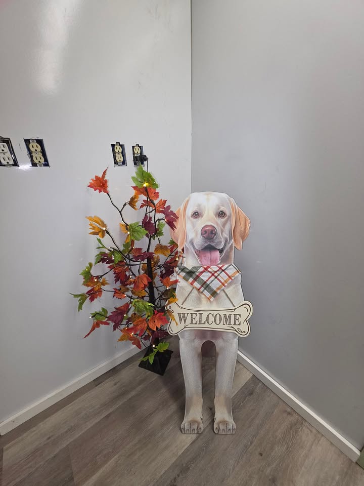 Anita’s Puppy Palace Mobile Pet Grooming And Boarding Kennels